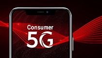 Consumer