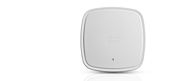 Branch Routers