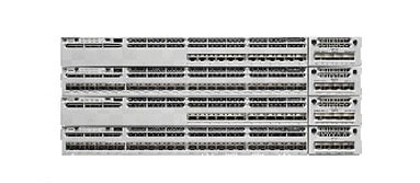 Branch Routers