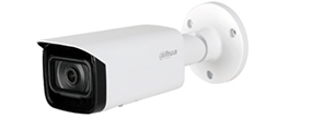 Dahua IP Cameras
