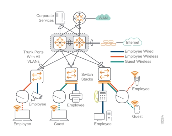 Soluciones de red de tama?o mediano